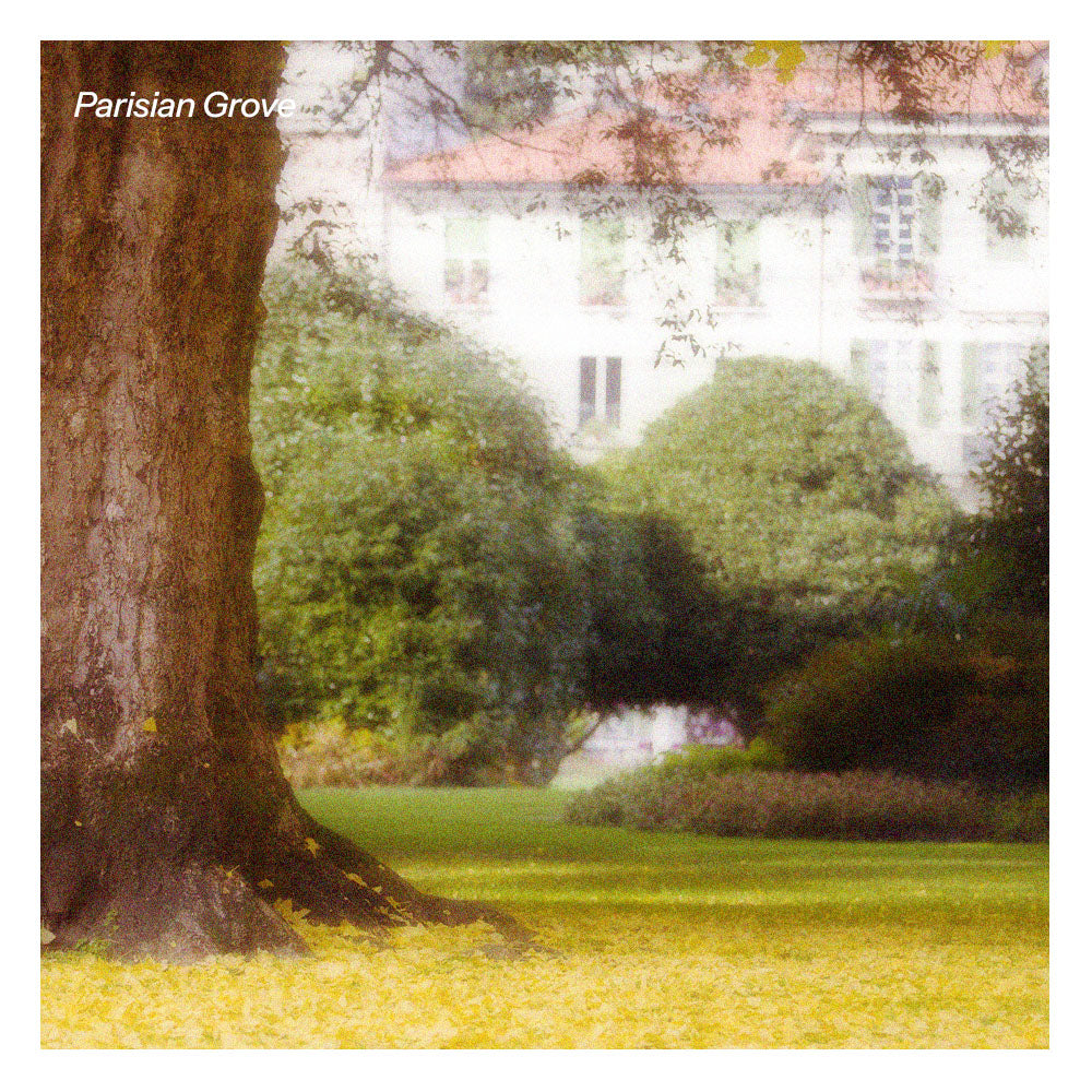 Parisian Grove Aroma Oil
