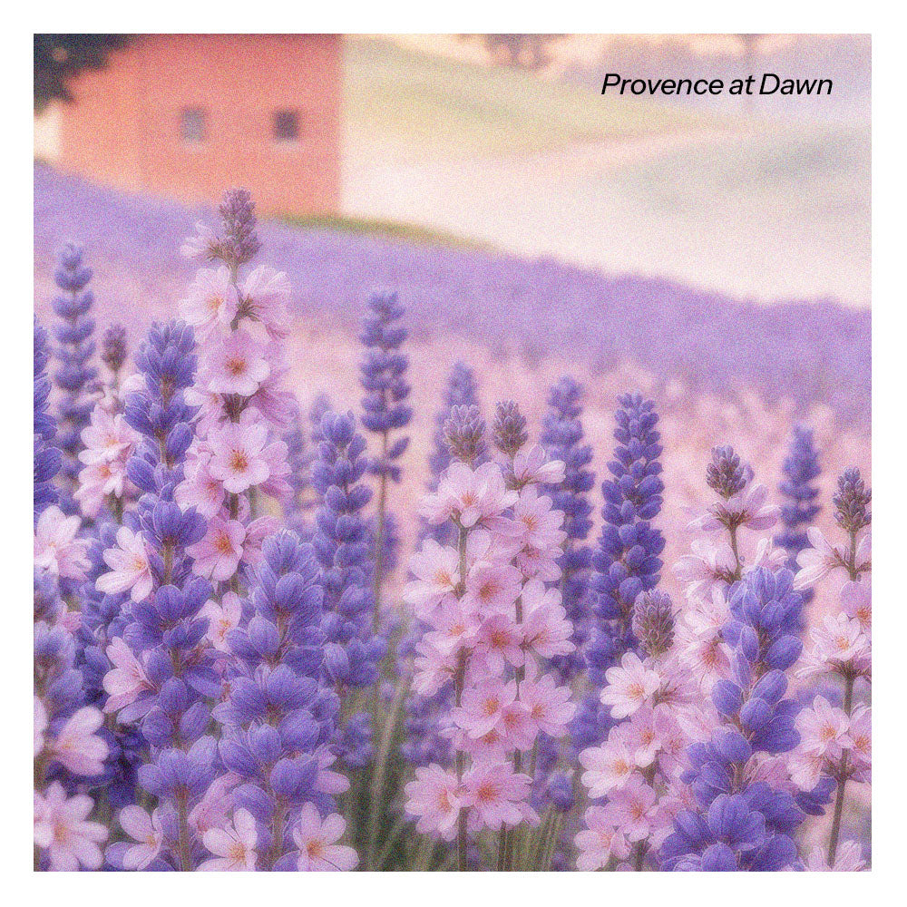 Provence at Dawn Aroma Oil