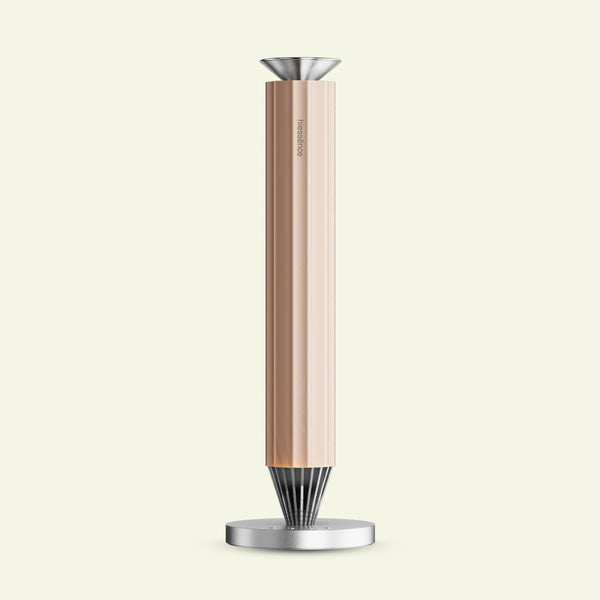 Nozzle head